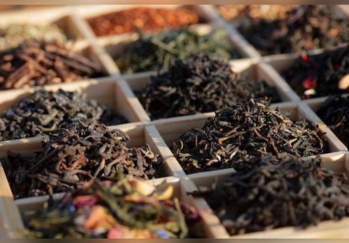 Journée internationale du thé : voici les meilleurs thés, à boire sans modération