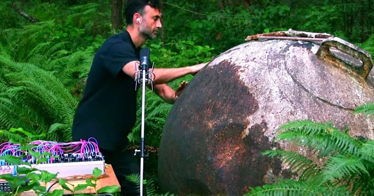« J’ai fait de la musique avec des champignons » : Tarun Nayar, l’homme qui composait avec des plantes