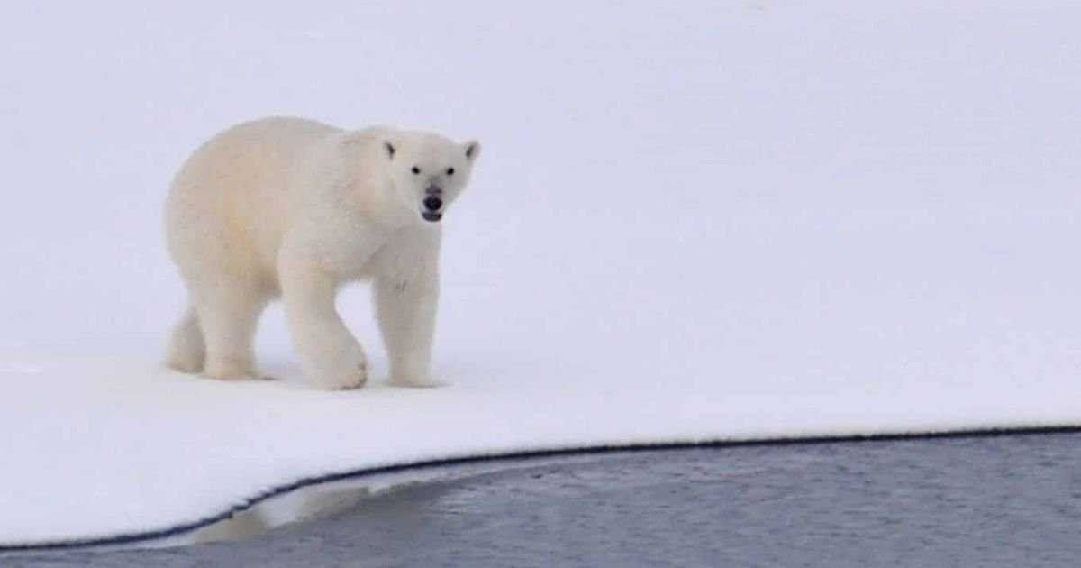 Colloque - Le dérèglement climatique : perception, information et désinformation