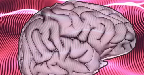 Après l’intelligence artificielle, voici l’intelligence organoïde à base de vrais neurones