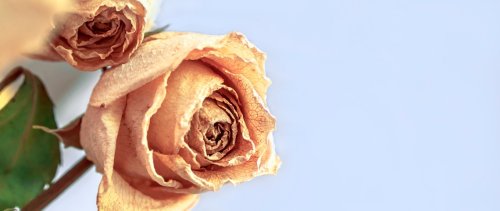 Podcast - RSE : quelles sont les limites du système ?