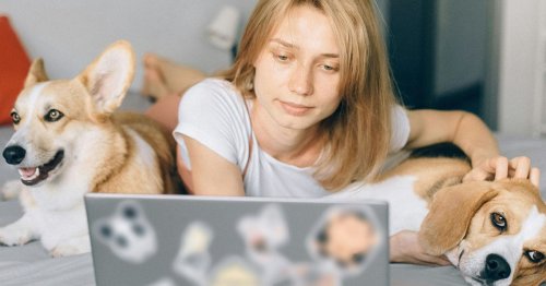 La GenZ prête à casser sa tirelire pour ses amis à quatre pattes