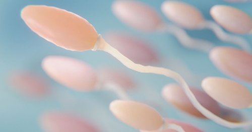 L’IA peut-elle booster notre fertilité ?