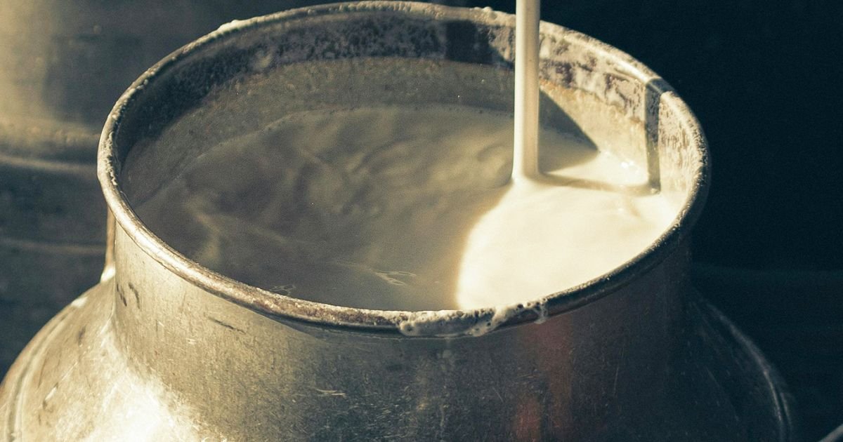 Retour en grâce du lait cru : une histoire d’influence