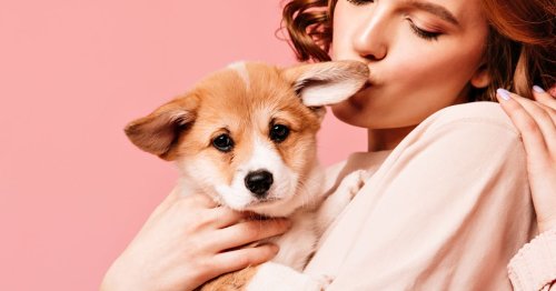 Pet tech : Votre animal de compagnie est-il prêt pour un collier compteur de calories et un robot nounou ?