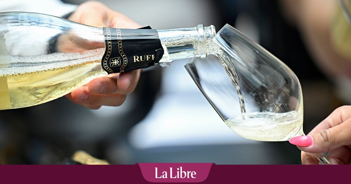 Gault & Millau 2025 : voici les meilleurs vins de Belgique