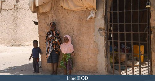 "Si rien n'est fait rapidement, la désolation sera totale" : Grave crise alimentaire en vue au Niger, déjà frappé par la violence djihadiste