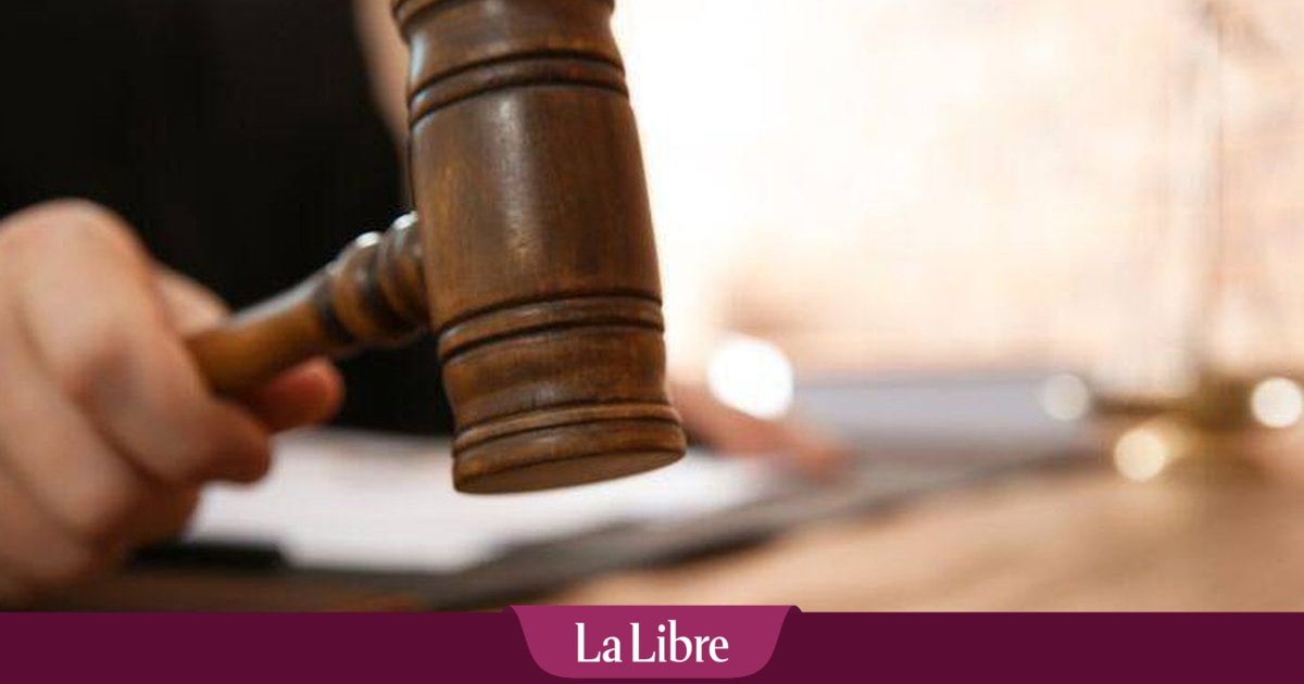Avec les explications a minima malaisantes de Pamela, Jacques et Michel, on touche le fond au tribunal