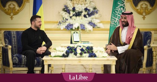 "La crédibilité européenne a fondu comme neige au soleil" : comment expliquer le rôle croissant des pays arabes au sein de la diplomatie internationale