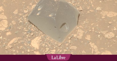 "Elle pourrait venir d'ailleurs": la dernière découverte surprenante de la NASA