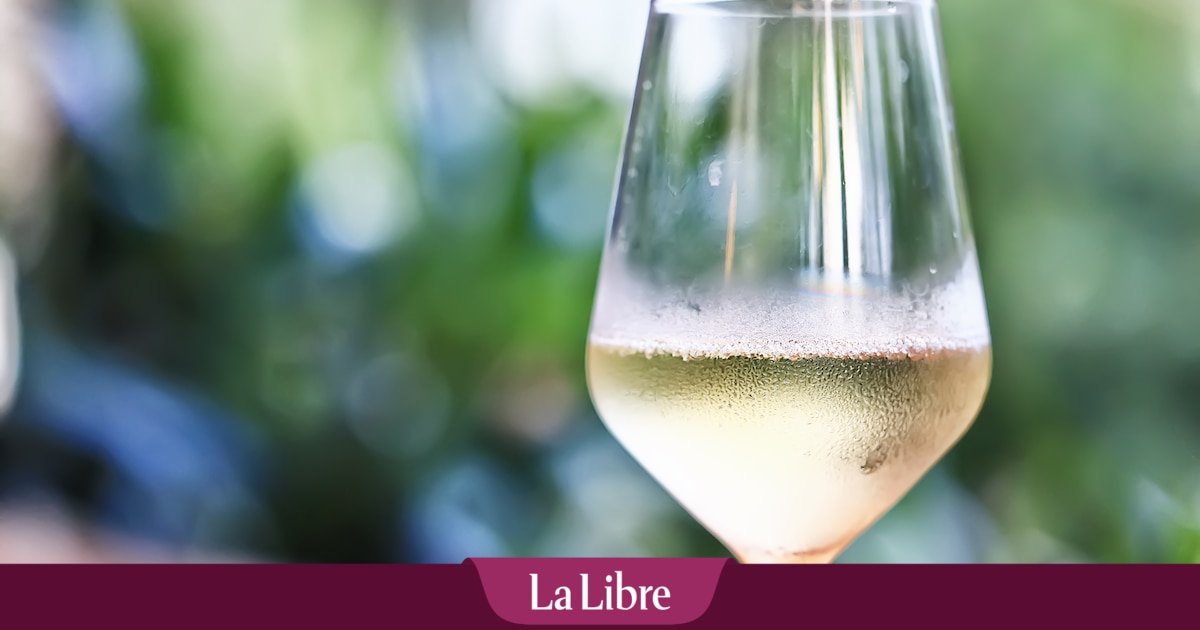 Le meilleur chardonnay au monde est… belge: voici le vignoble qui vient d’être récompensé