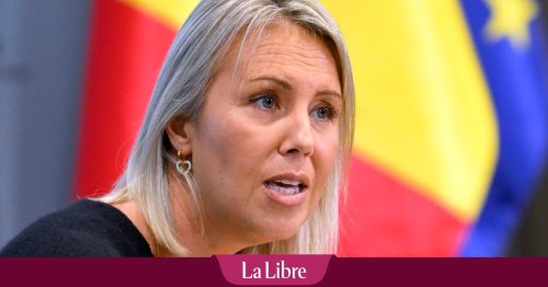 Défense : le Conseil des ministres approuve la modernisation et l'extension de l'artillerie