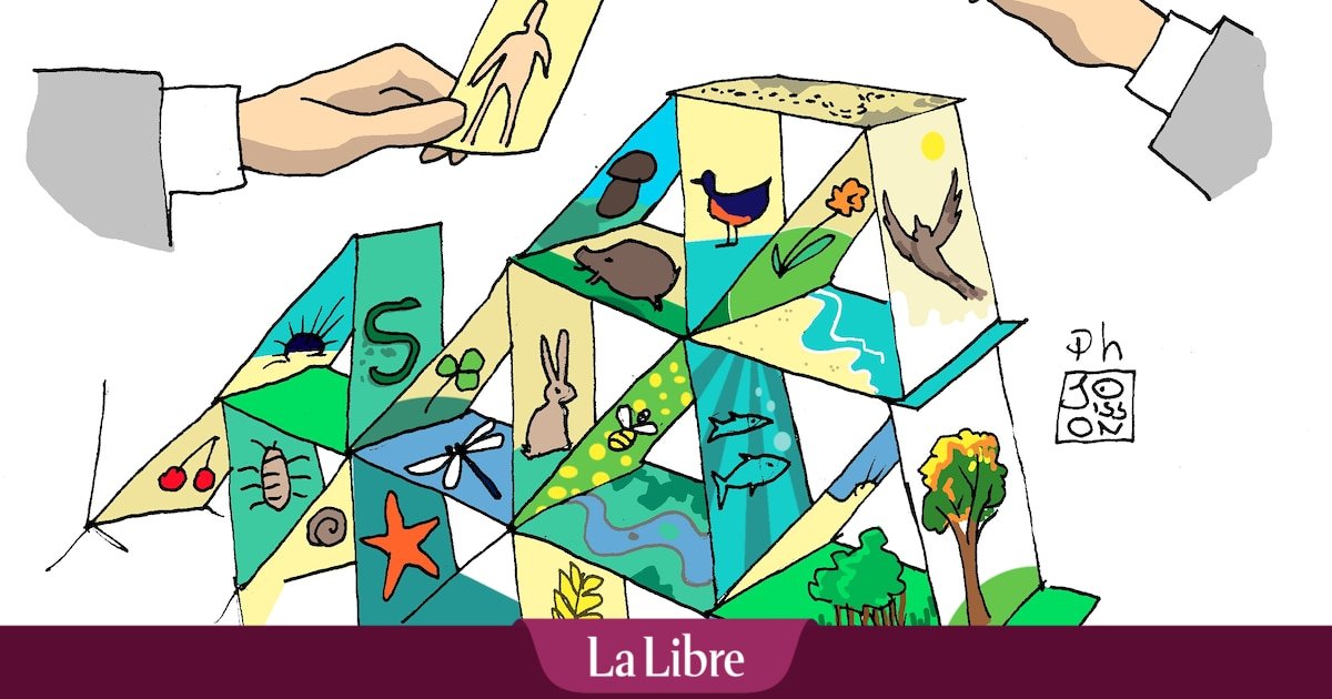 C’est quoi, restaurer la nature ?
