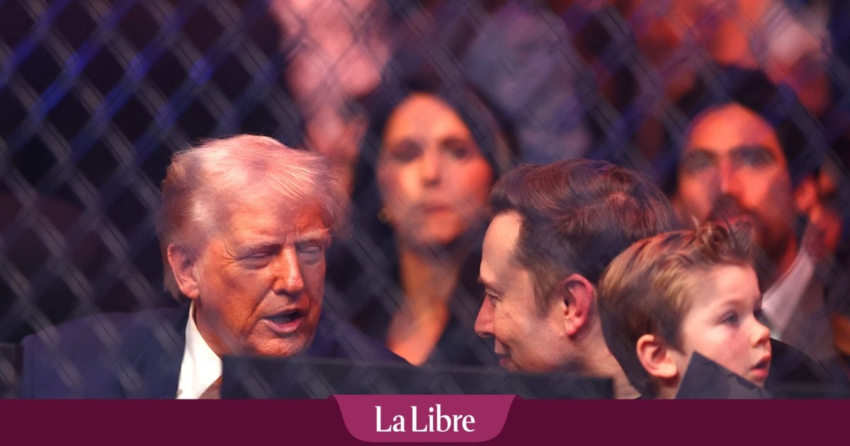 Le "Dôme Doré", le système de défense aérien que Musk veut offrir à Trump