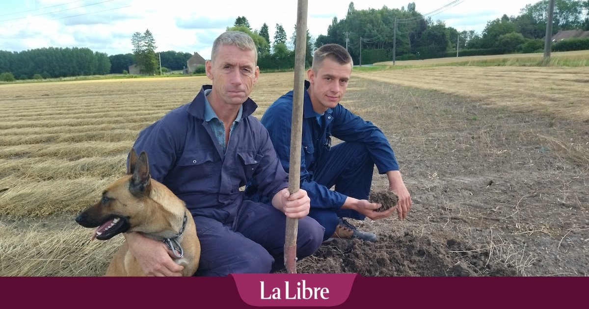 Agriculteurs, ils réduisent les pesticides : « On ne va pas pulvériser des produits à gogo sans réfléchir »