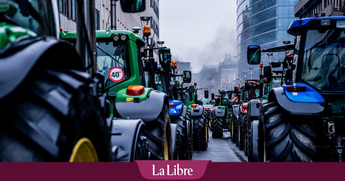 Optimiste et volontaire… Bruno Vincent, l’agriculteur qui se prépare à occuper le devant de la scène face aux politiques