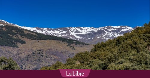 Une randonneuse retrouvée vivante trois semaines après sa disparition dans une vallée sauvage de Californie: "Cette décision a peut-être sauvé sa vie"