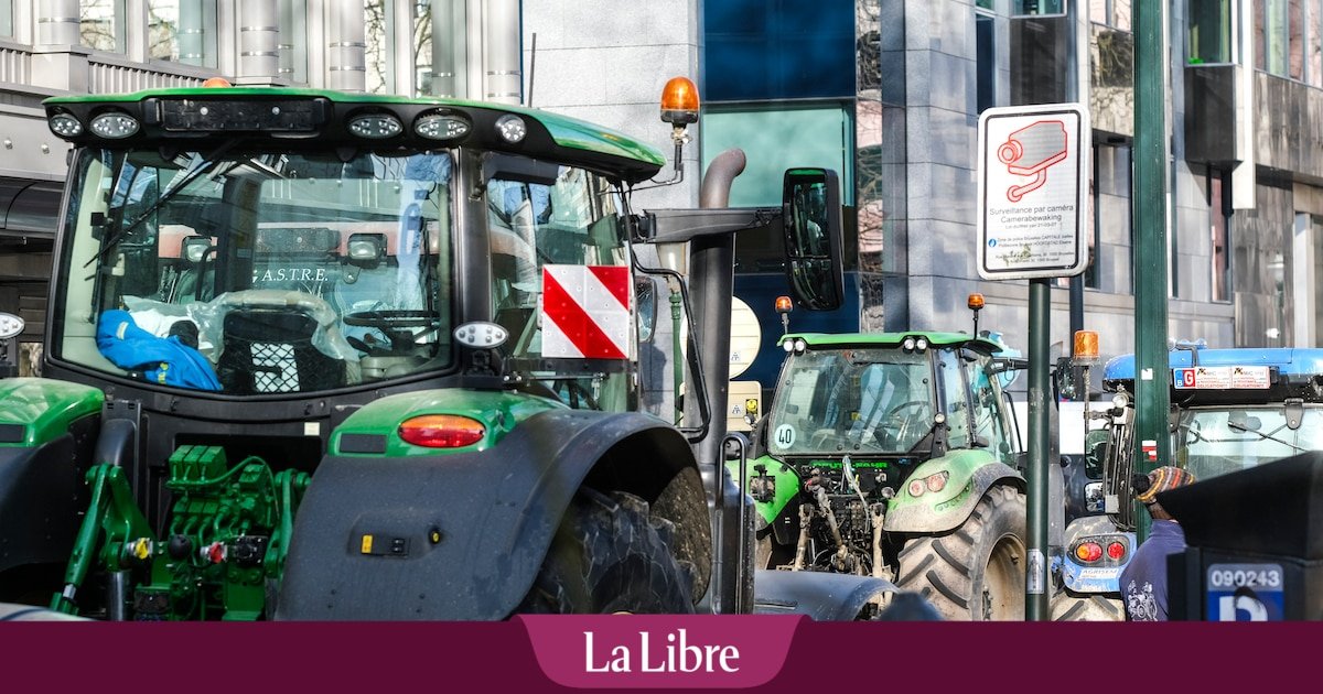 Grogne du monde agricole: les agriculteurs manifesteront à Bruxelles mercredi