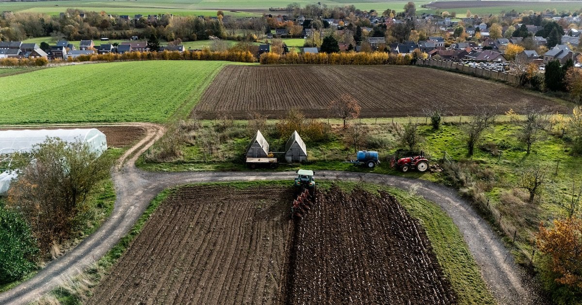 Le prix de l&rsquo;hectare agricole en Wallonie poursuit sa hausse: les chiffres par région