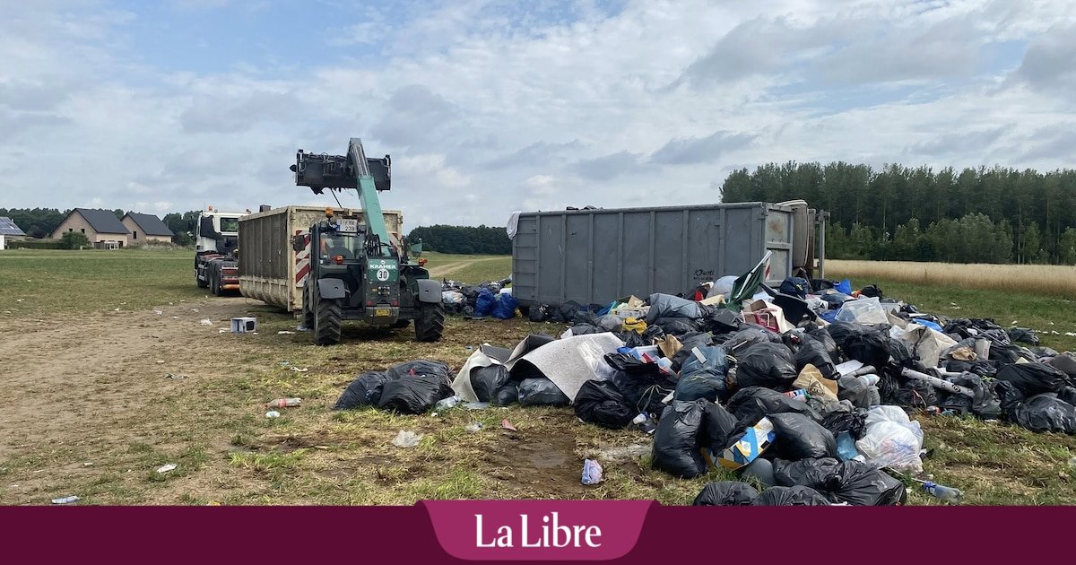 Après le squattage de son champ par les gens du voyage, un agriculteur lance un appel: « Ca ne doit pas se retrouver dans la nourriture des bêtes »