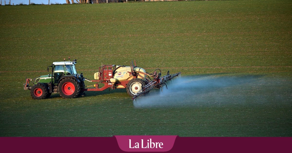 Des milliers de signatures contre les pesticides en Wallonie, souligne Canopea