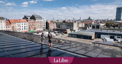 Sur le toit des abattoirs d'Anderlecht, une alliance productive entre plantes et poissons