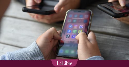 Instagram reste le réseau préféré des Belges, TikTok en constante progression