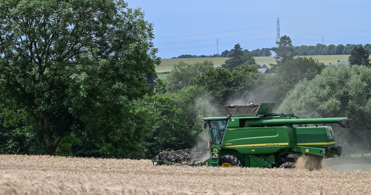 Foncier agricole: il faut sortir des fantasmes et moderniser la réalité