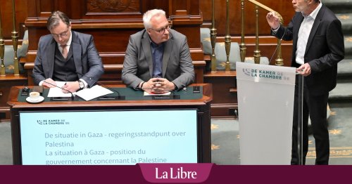 Les Engagés et Vooruit font le forcing pour obtenir des sanctions contre Israël : "On ne peut plus juste dénoncer, on doit agir"