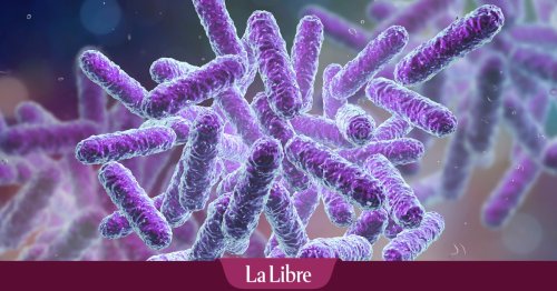 Des scientifiques de premier plan alertent sur la potentielle création d'une "vie miroir" : "Cela pourrait conduire à la pandémie ultime"