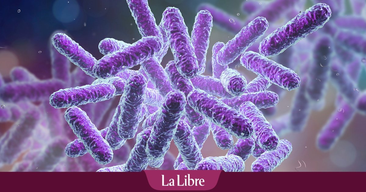Des scientifiques de premier plan alertent sur la potentielle création d'une "vie miroir" : "Cela pourrait conduire à la pandémie ultime"