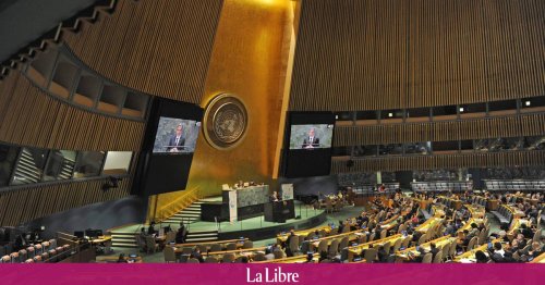 L’impossible réforme du Conseil de sécurité de l'ONU