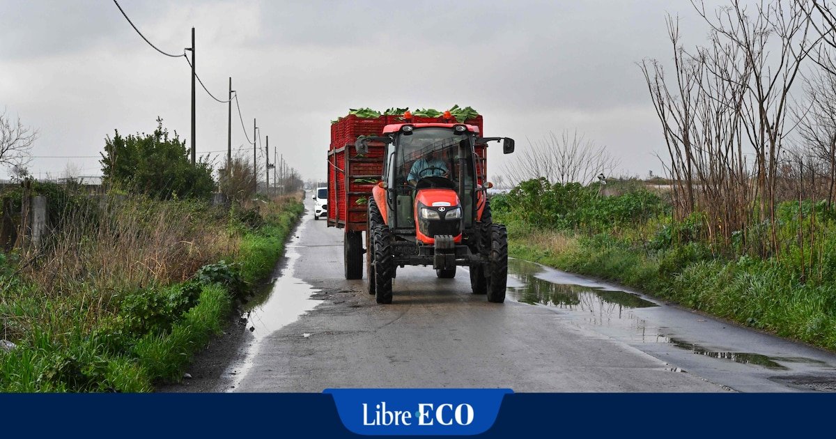 Marges des agriculteurs, pesticides, sécurité alimentaire… : voici les grandes lignes de la feuille de route de l’Arizona dans l’agriculture