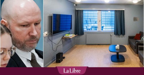 Trois pièces, trois perruches, une Xbox... Comment Breivik purge sa peine en prison (VIDEO)