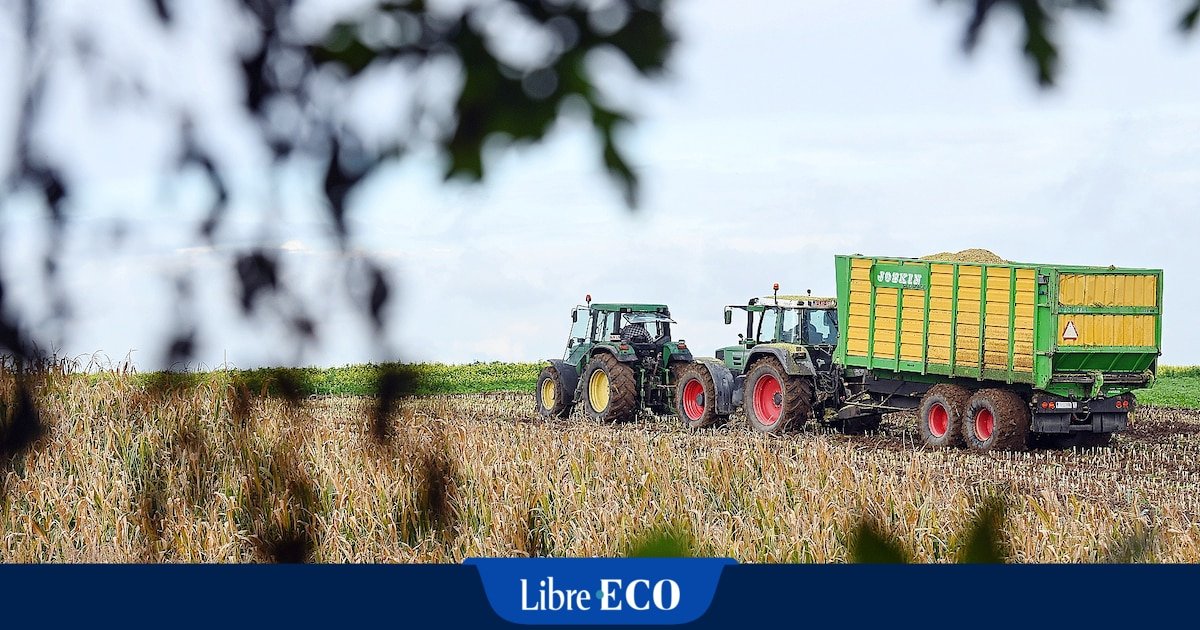 Les terres agricoles, « un bon investissement » qui coûte cher