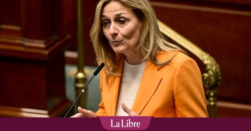 "Cela n'aurait pas dû se produire" : la Chambre saisie du dossier d'une députée pour ivresse au volant d'une... voiture de golf