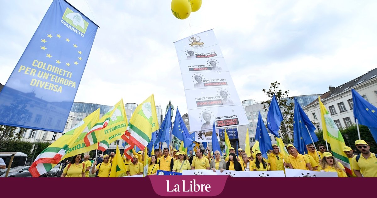 À peine dévoilée, la nouvelle politique agricole commune européenne est déjà critiquée : voici ce qui va changer