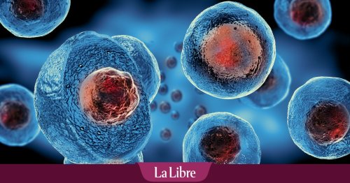 Les futurs traitements par cellules souches soulèvent l'enthousiasme des scientifiques : "Des résultats dont on aurait jamais rêvé !"