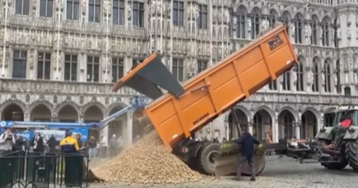 L&rsquo;agriculteur arrêté après avoir déversé des pommes de terre sur la Grand-Place de Bruxelles va demander grâce au Roi ! (PHOTOS)