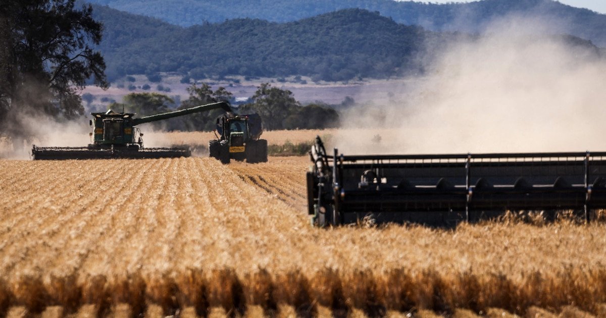 Une enquête inédite révèle l’ampleur de la détresse psychologique chez les agriculteurs wallons