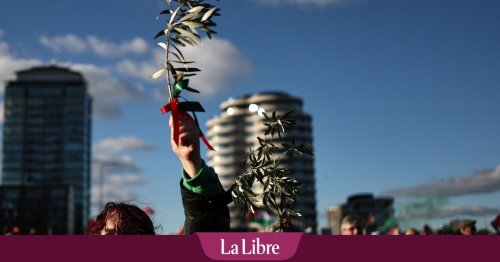 "Nous appelons l'Union européenne à soutenir le modèle d'une confédération des États d'Israël et de Palestine au sein d'un seul et même pays"