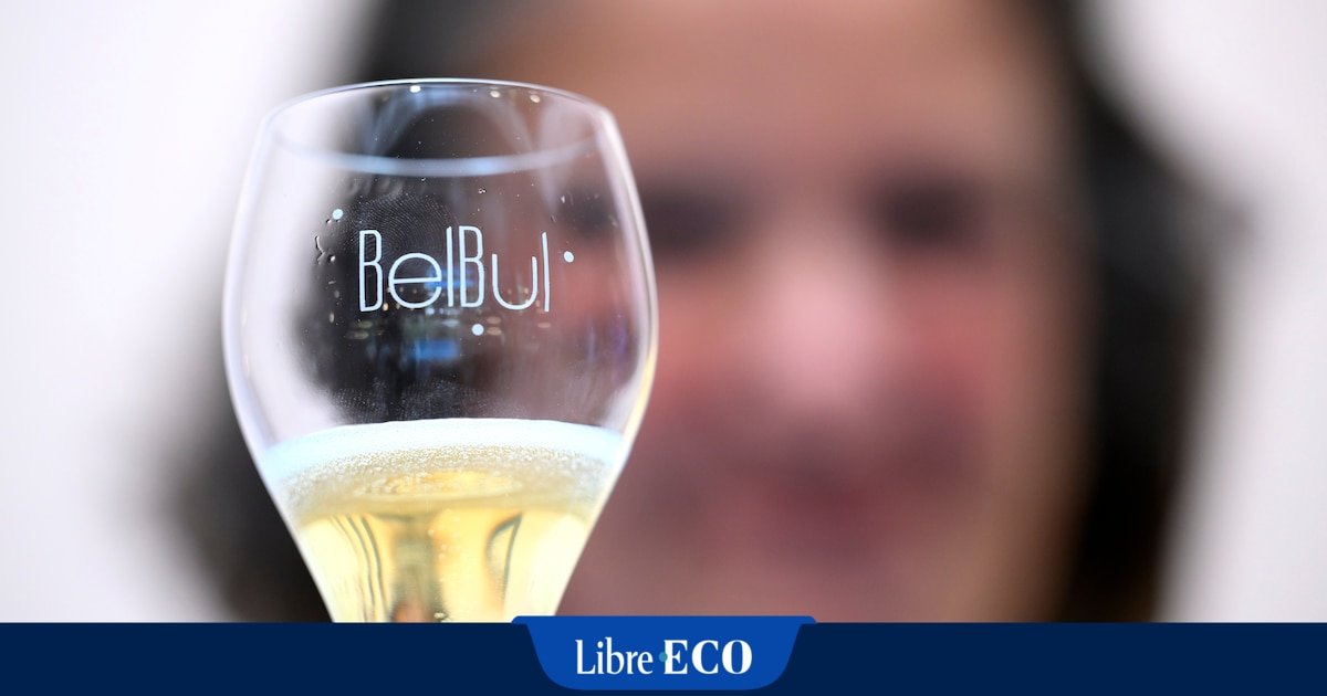 Vins belges effervescents : l’union fait la force