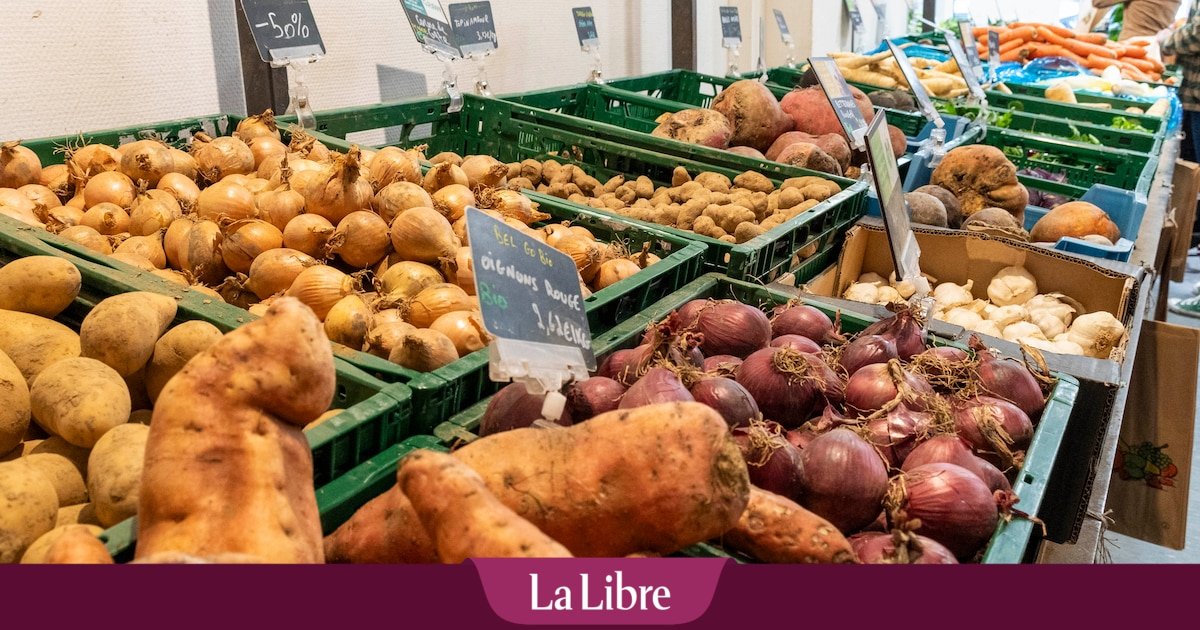 Des OGM de deuxième génération dans nos assiettes ? « Il doit y avoir une obligation d’étiquetage tout au long de la chaîne »