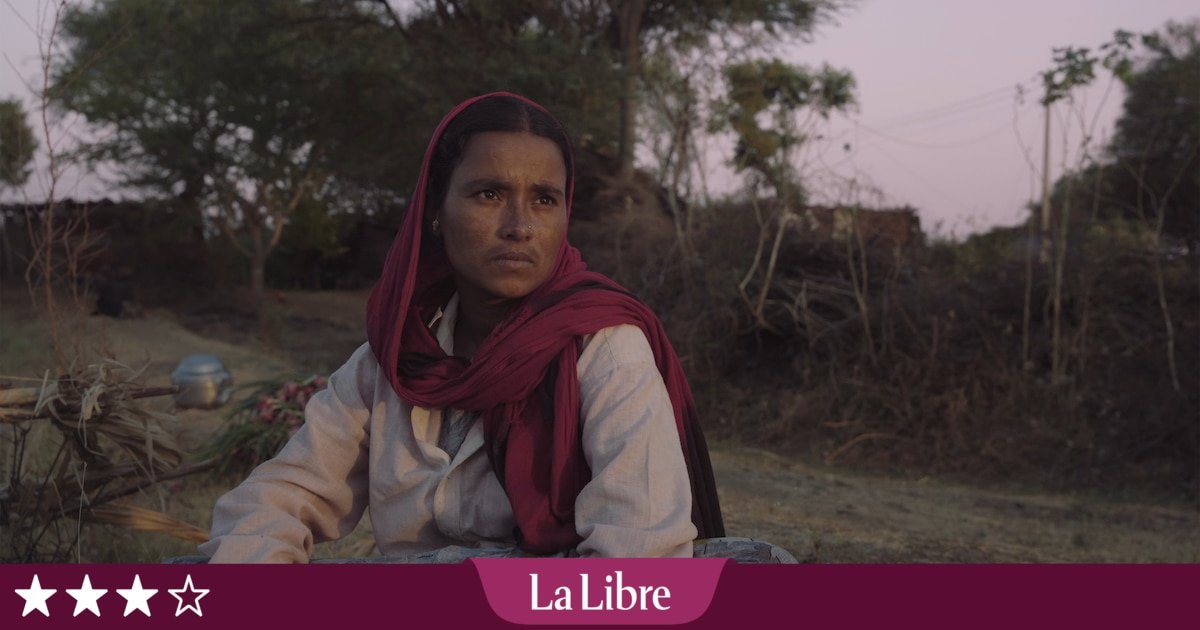 « Marching in the Dark » : un magnifique documentaire belge sur le fléau du suicide chez les agriculteurs indiens