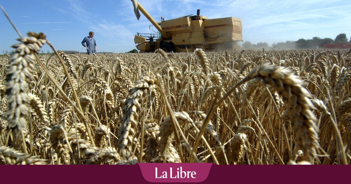 L’agriculture européenne entre tensions et réinvention