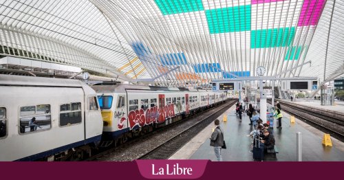 Un homme en séjour illégal devient violent et frappe deux agents à la gare des Guillemins à Liège : “Les gens sont des racistes”