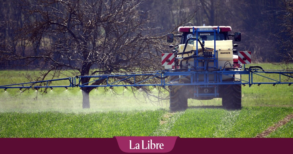 Des cyclistes prennent la route pour promouvoir une agriculture sans pesticides