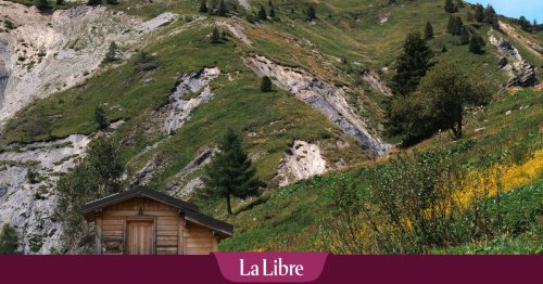 Robin chute de 150 mètres lors d'une randonnée au Liechtenstein et survit quatre jours : "J'avais des hallucinations à cause de la carence en sucre"