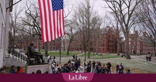 À Harvard, l'inquiétude des étudiants et chercheurs belges : "On fait de plus en plus attention à ce qu'on poste sur les réseaux sociaux…"