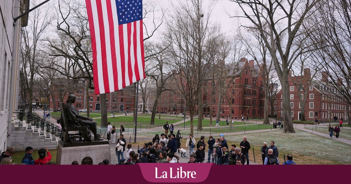À Harvard, l'inquiétude des étudiants et chercheurs belges : "On fait de plus en plus attention à ce qu'on poste sur les réseaux sociaux…"